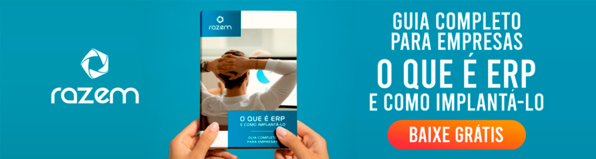 sistema erp